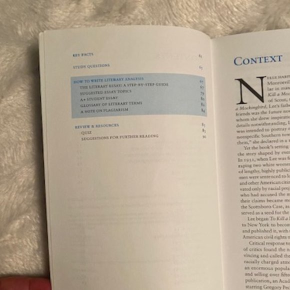 To Kill a Mockingbird, Huckleberry Finn - Picture 10 of 11